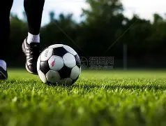 孙颖莎,王曼昱,美国赛女单,星空娱乐官网,星空娱乐官网全球信赖,星空娱乐官网在线娱乐平台,星空娱乐官网玩家首选,星空娱乐官网星空娱乐,星空娱乐官网游戏平台