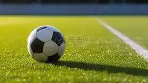 中国足协支持亚足联依法处理浙江与泰国武里南冲突事件